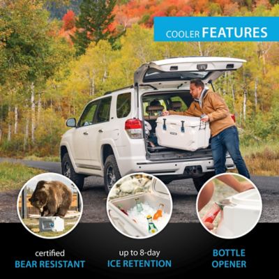 Image showing  65 Quart High Performance Cooler, 91131