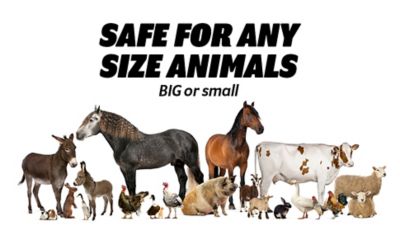 Image showing  Premium Naturally Grown Hemp Small Pet Bedding, 4 cu. ft.