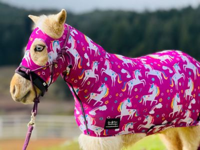 Image showing  Miniature Horse Lycra Body Suit Prints