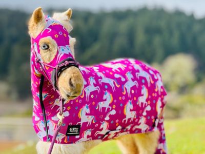 Image showing  Miniature Horse Lycra Body Suit Prints