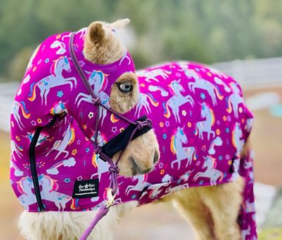 Star Point Horsemanship Miniature Horse Lycra Body Suit Prints