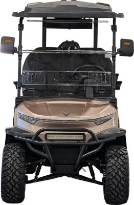 Image showing  4-Seater 110V Lithium Battery Golf Cart, Forward Facing Seats