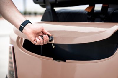 Image showing  4-Seater 110V Lithium Battery Golf Cart, Forward Facing Seats