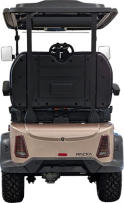 Image showing  4-Seater 110V Lithium Battery Golf Cart, Forward Facing Seats