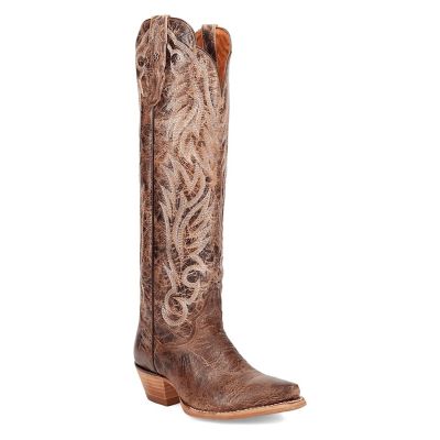 Dan Post Women's Rustic Ridge Leather Boots