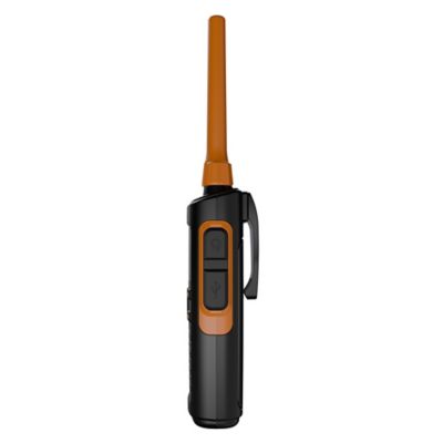 Image showing 8 th Cobra TrailBlazer 450 GMRS 2-Way Radio Pair, Black and Orange
