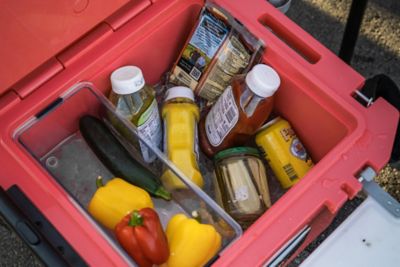 Image showing  45 qt. RollR Cooler