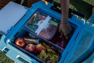 Image showing 5 th RovR 45 qt. RollR Cooler