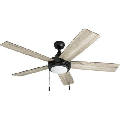 Honeywell 52 in. Ventnor Ceiling Fan Bronze