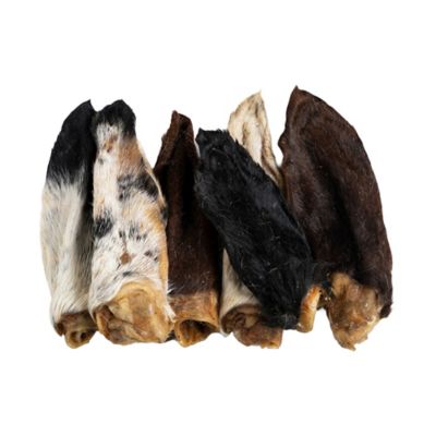 Image showing  All-Natural Premium Lamb Ear Dog Chew Treats, 3.5 oz.