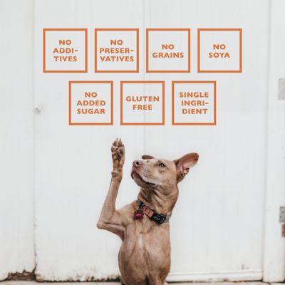 Image showing 5 th BAFFS NATURALS All-Natural Premium Lamb Ear Dog Chew Treats, 3.5 oz.