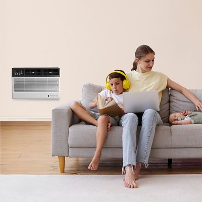 Image showing 9 th Friedrich 115V Chill Premier Window & Wall Air Conditioner, 450 sq. ft., 10,000 BTUs, Remote Control, Wi-Fi Enabled