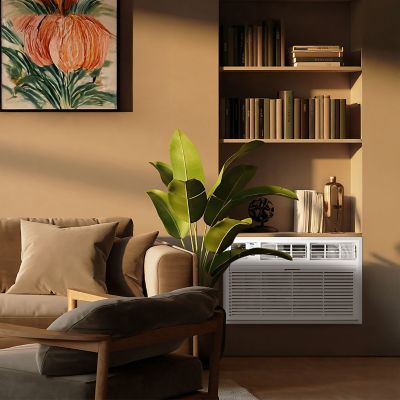 Image showing 6 th TCL 10,000 BTU Smart Through-the-Wall Air Conditioner