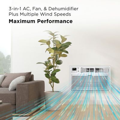 Image showing  8,000 BTU Smart Through-the-Wall Air Conditioner