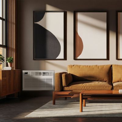 Image showing  10,000 BTU 230 V Smart Through-the-Wall Air Conditioner with Heat