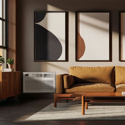 Image showing 2 th TCL 8,000 BTU Smart Through-the-Wall Air Conditioner with Heat