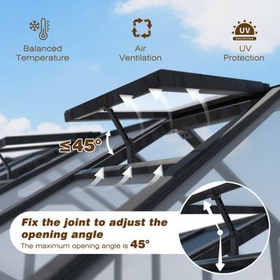 Image showing  6 ft. W x 12 ft. D Wood Black Garden Plant Greenhouse for Outdoors with Multi-Layer Polycarbonate Panel