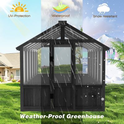 Image showing  6 ft. W x 12 ft. D Wood Black Garden Plant Greenhouse for Outdoors with Multi-Layer Polycarbonate Panel