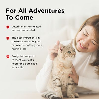 Image showing  Anti Diarrhea Liquid for Cats, 4 oz.