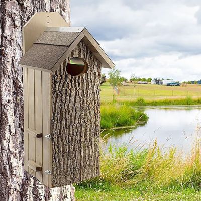 Image showing  Bark Clad Wood Duck House