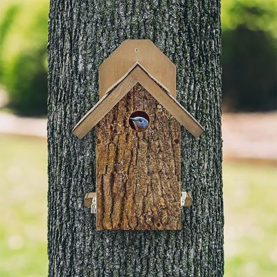 Image showing  Bark Clad Ultimate Bluebird House