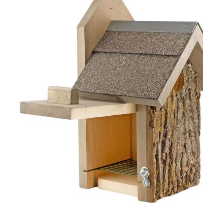 Image showing  Bark Clad Ultimate Bluebird House