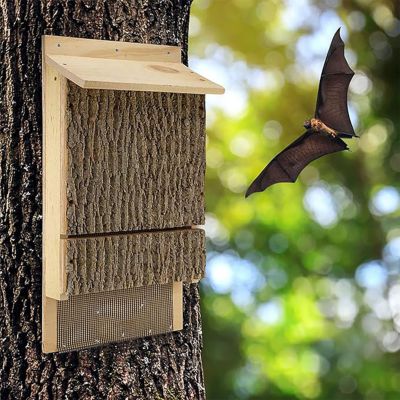 Image showing  Single Chamber Bark Clad Bat House, 100 Bats