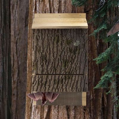 Image showing  Triple Chamber Bark Clad Bat House, 300 Bats