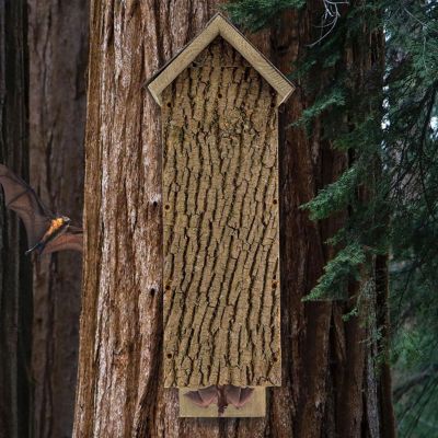 Image showing  Four Chamber Rocket Box Bat House, 100 Bats