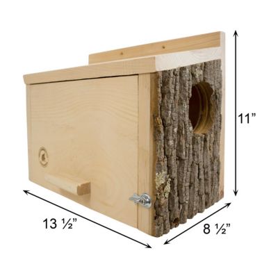 Image showing  Bark Clad Squirrel Nesting Box