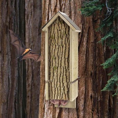 Image showing  Triple Chamber Rocket Box Bat House with Spray