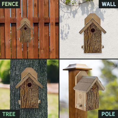 Image showing  Triple Chamber Rocket Box Bat House with Spray