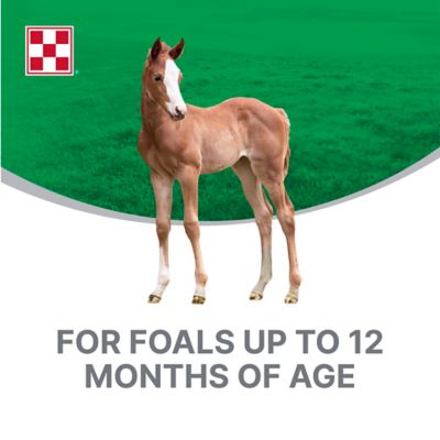 Image showing  Mare's Match Milk Replacer, 25 lb.