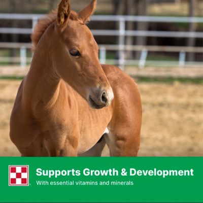 Image showing  Mare's Match Milk Replacer, 25 lb.