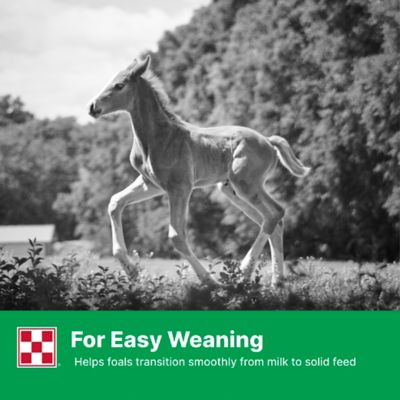 Image showing 5 th Purina Mare's Match Milk Replacer, 25 lb.