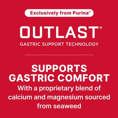 Image showing 6 th Purina Mare's Match Milk Replacer, 25 lb.