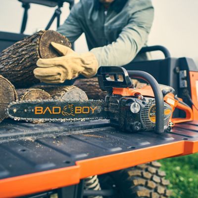 Image showing  CS 300-14 Chainsaw