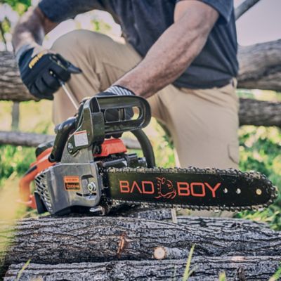 Image showing  CS 300-14 Chainsaw