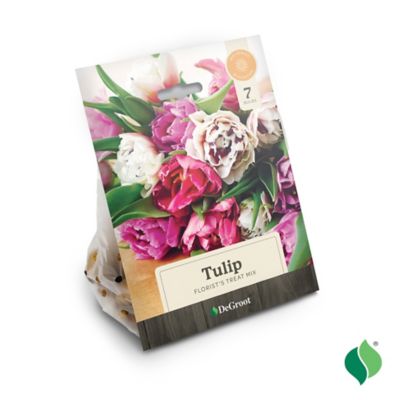 Image showing  Tulip Florist's Treat Mix Flower Bulb