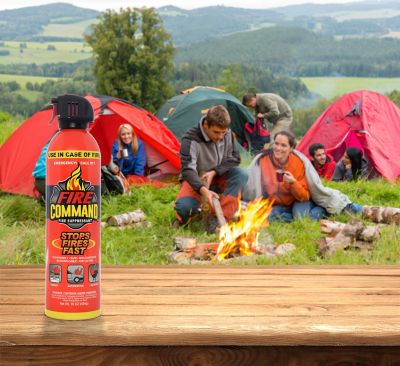 Image showing  Fire Suppressant Aerosol, 16 oz., 2 pc.