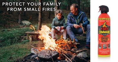 Image showing  Fire Suppressant Aerosol, 16 oz., 2 pc.