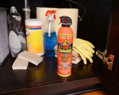 Image showing 9 th Fire Command Fire Suppressant Aerosol, 16 oz., 2 pc.
