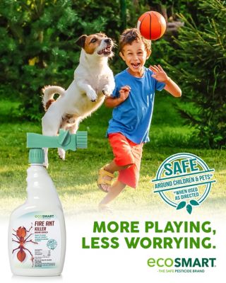 Image showing 8 th EcoSMART Fire Ant Mound Drenchz Hose End Spray, 32 oz.