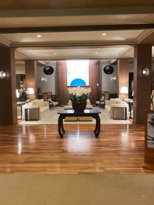 Image showing  18 in. Outdoor Solar Hanging Light, Palm Black