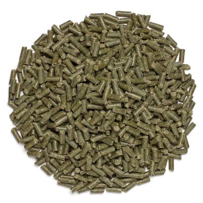 Image showing  SmartGut Pellets Equine Supplement