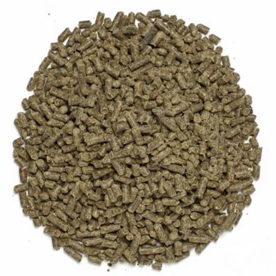 Image showing  SmartHoof Pellets Equine Supplement