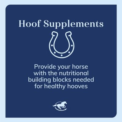 Image showing 6 th SmartEquine SmartHoof Pellets Equine Supplement