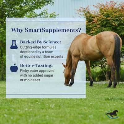Image showing 8 th SmartEquine SmartHoof Pellets Equine Supplement