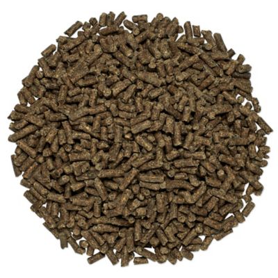 Image showing  Smart & Simple Chasteberry Pellets