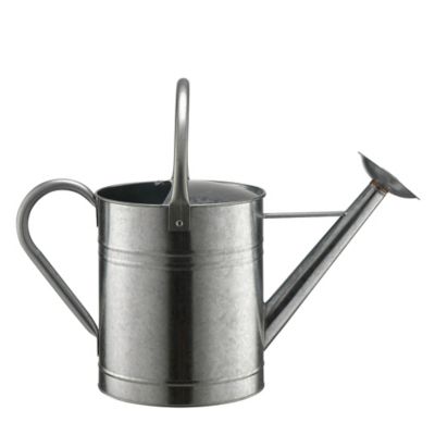 GroundWork 2 gal. Metal Watering Can
